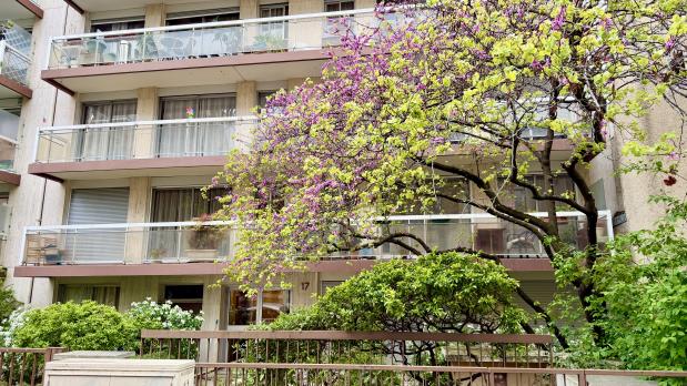 Boulogne-Billancourt - Studio au calme sur jardin - 19 m²