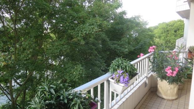 A LOUER - Île Saint-Germain - 3 pièces sur Seine - 73 m²