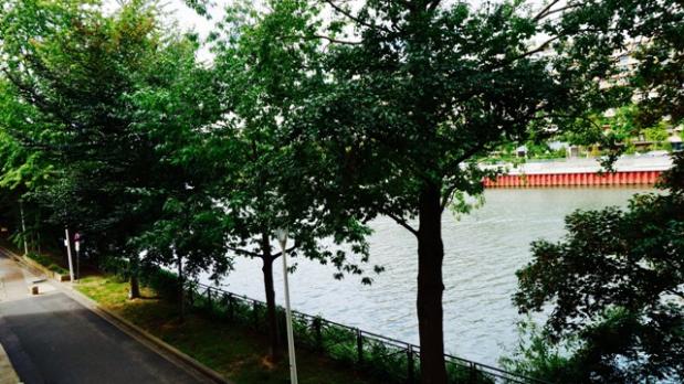 A LOUER - Île Saint-Germain - 3 pièces sur Seine - 75 m²