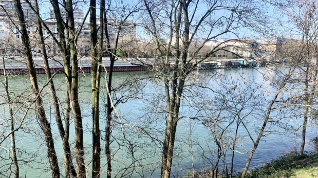 A LOUER - Île Saint-Germain - Grand studio sur Seine - 35 m²