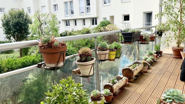Île Saint-Germain - 3 pièces compact plein sud sur jardin - 67 m²