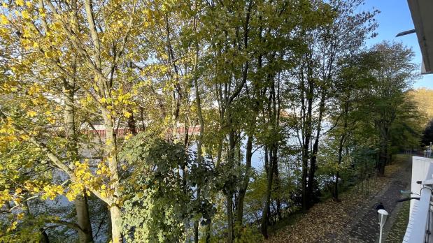 A LOUER - Île Saint-Germain - 2 pièces rénové sur Seine - 49 m²