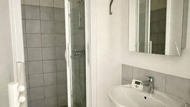 A LOUER - Île Saint-Germain - 4 pièces sur Parc - 85 m²