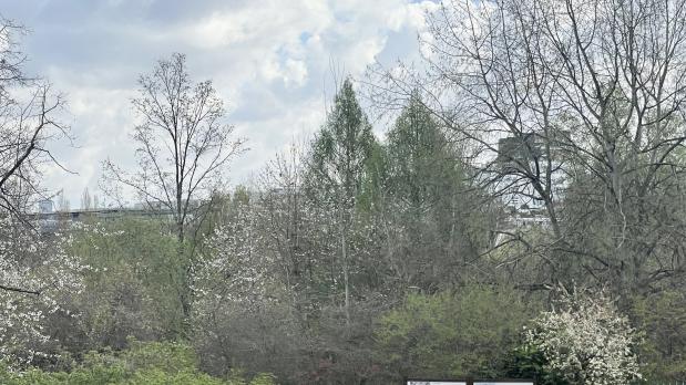A LOUER - Île Saint-Germain - 4 pièces sur Parc - 85 m²