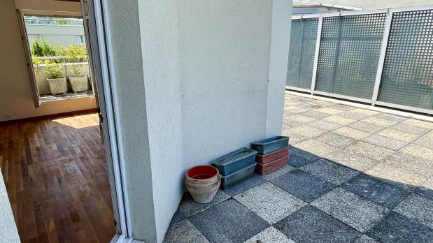 A LOUER - Île Saint-Germain - 4 pièces, terrasse plein ciel - 87 m²