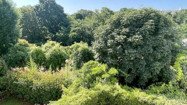 A LOUER - Île Saint-Germain - 3 pièces sud sur jardins - 73 m²