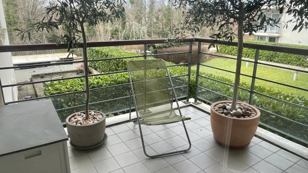 A LOUER - Bords de Seine - 2 pièces sur Seine et Parc - 51 m²