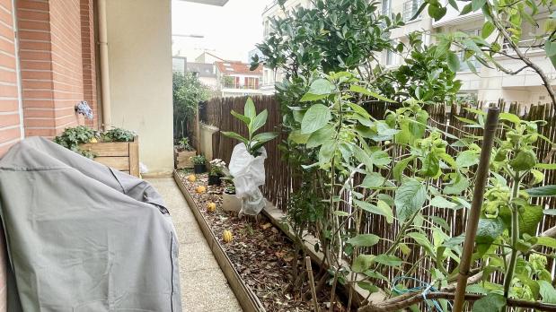 Île Saint-Germain - 2 pièces récent avec terrasse - 48 m²