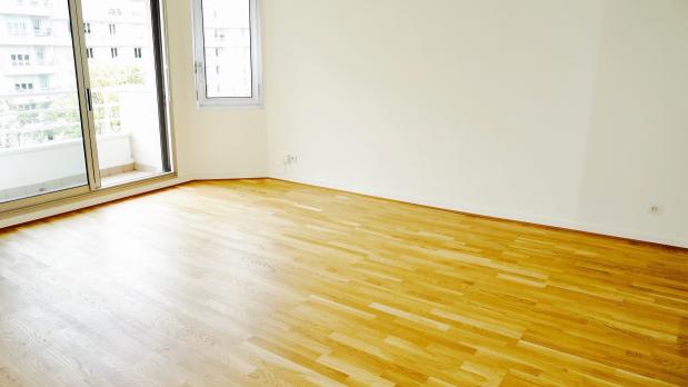 A LOUER - Île Saint-Germain - 2 pièces sur Parc - 54 m² 