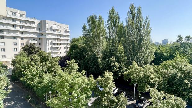 A LOUER - Île Saint-Germain - 4 pièces vue dégagée sur Parc - 84 m²