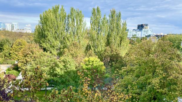 A LOUER - Île Saint-Germain - 3 pièces meublé vue Seine - 69 m²