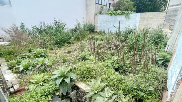 Île Saint-Germain - Terrain constructible - 144 m²