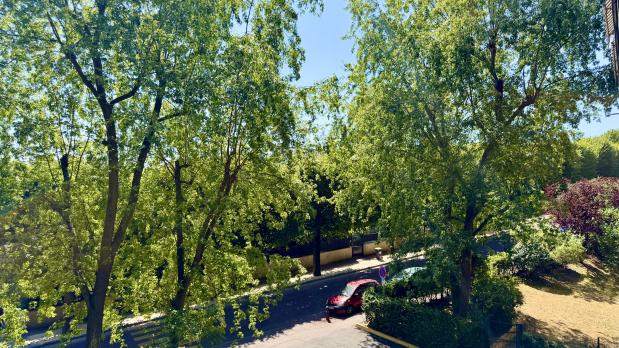 Saint-Cloud - Parc de Béarn - 3 pièces, balcon sur jardins - 66 m²