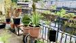 Villa Haussmann - Studio dernier étage avec terrasse - 28 m²