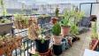 Villa Haussmann - Studio dernier étage avec terrasse - 28 m²