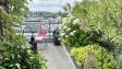 A LOUER - Issy-les-Moulineaux - 4 pièces terrasse plein ciel - 122 m² 