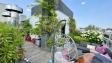 A LOUER - Issy-les-Moulineaux - 4 pièces terrasse plein ciel - 122 m² 