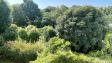 A LOUER - Île Saint-Germain - 3 pièces sud sur jardins - 73 m²